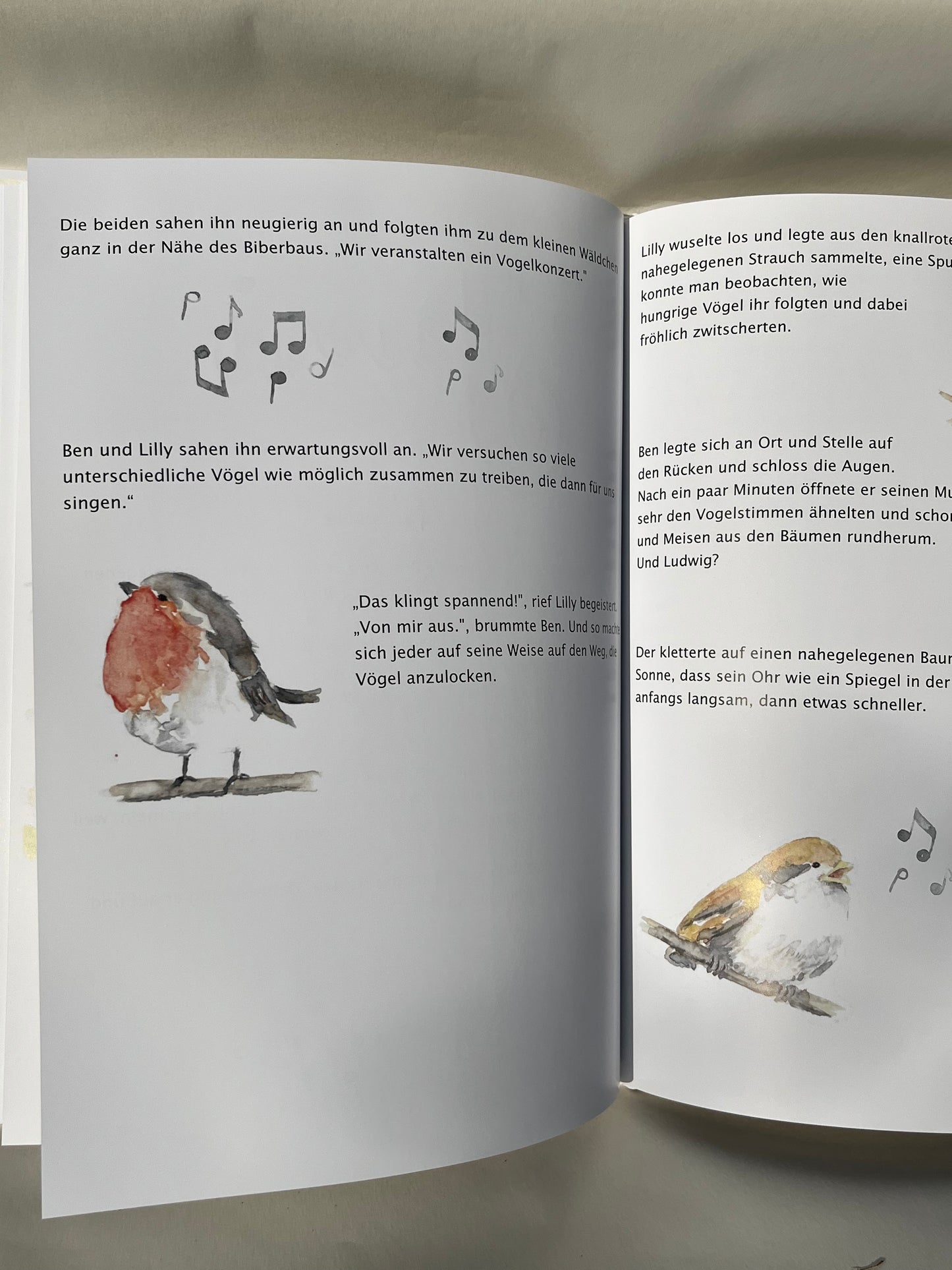 Bundle Ludwig Glücksohr book with cuddly beaver