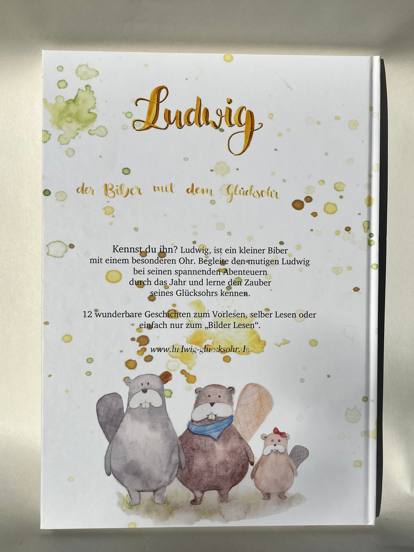 Bundle Ludwig Glücksohr book with cuddly beaver