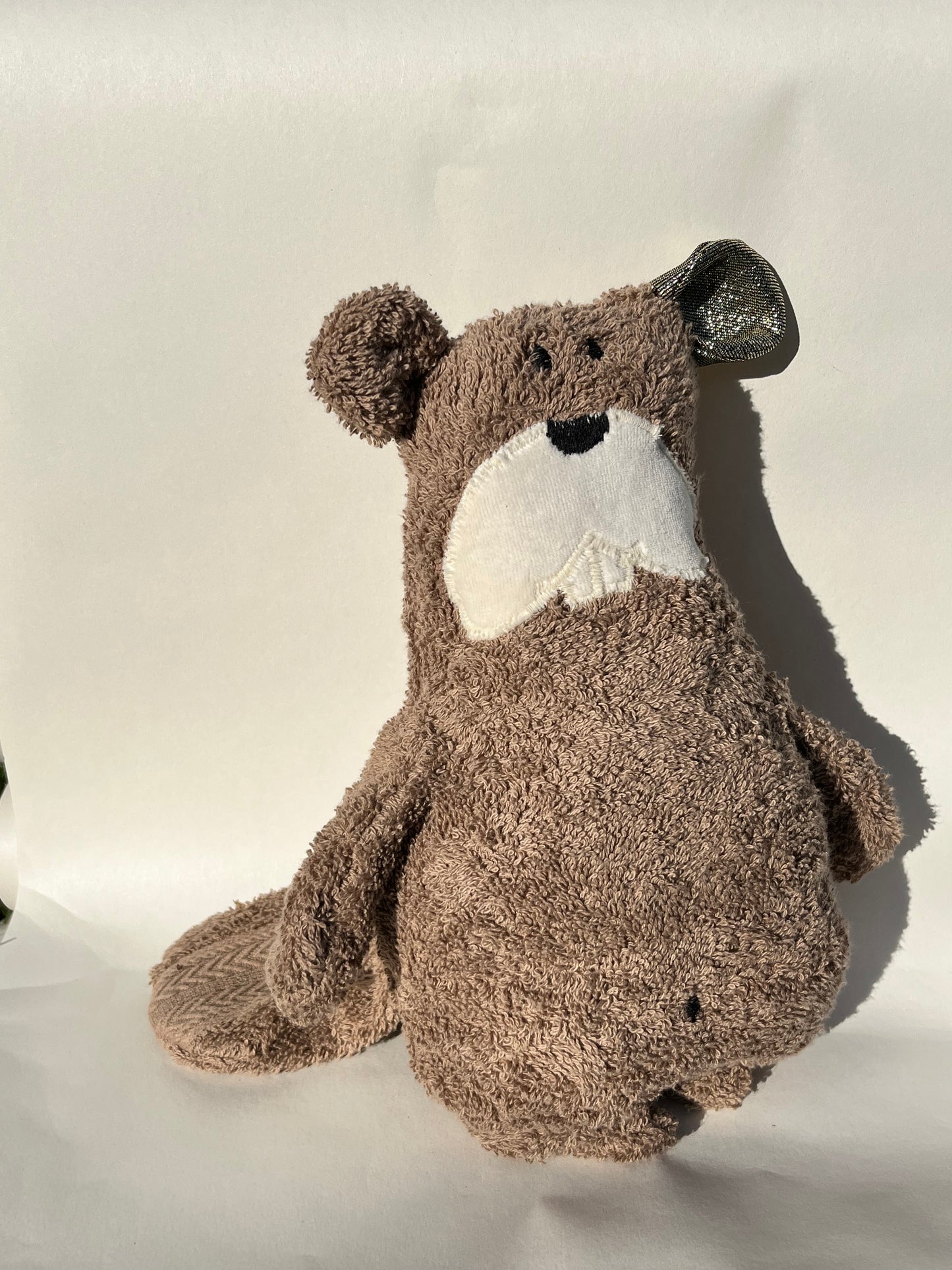 Kinderbuch Biber Ludwig mit dem Glücksohr Simone Zink