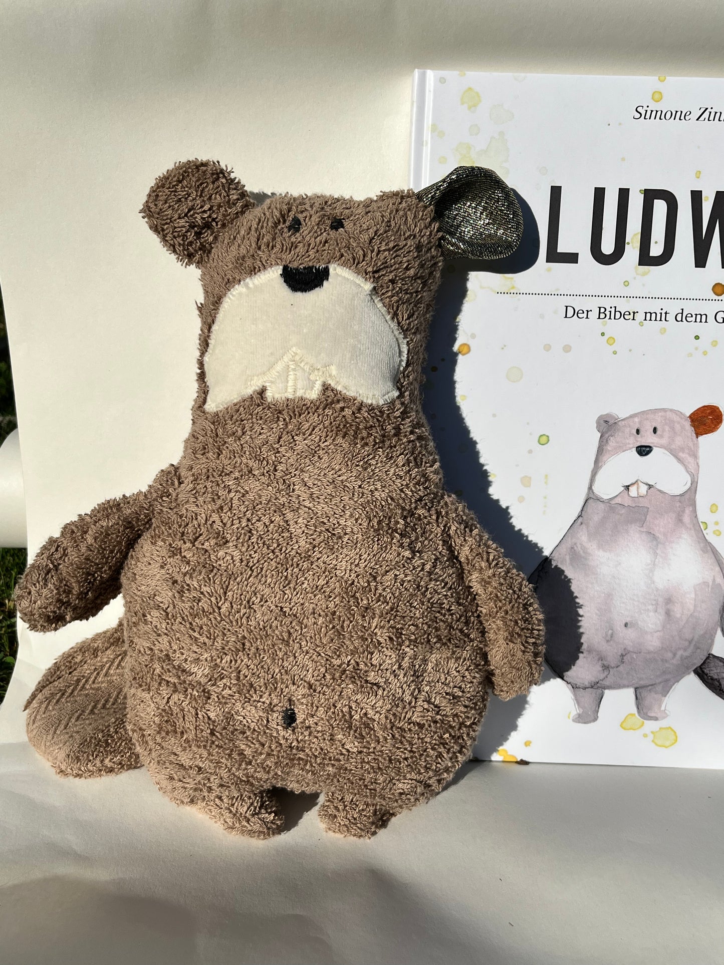 Bundle Ludwig Glücksohr book with cuddly beaver