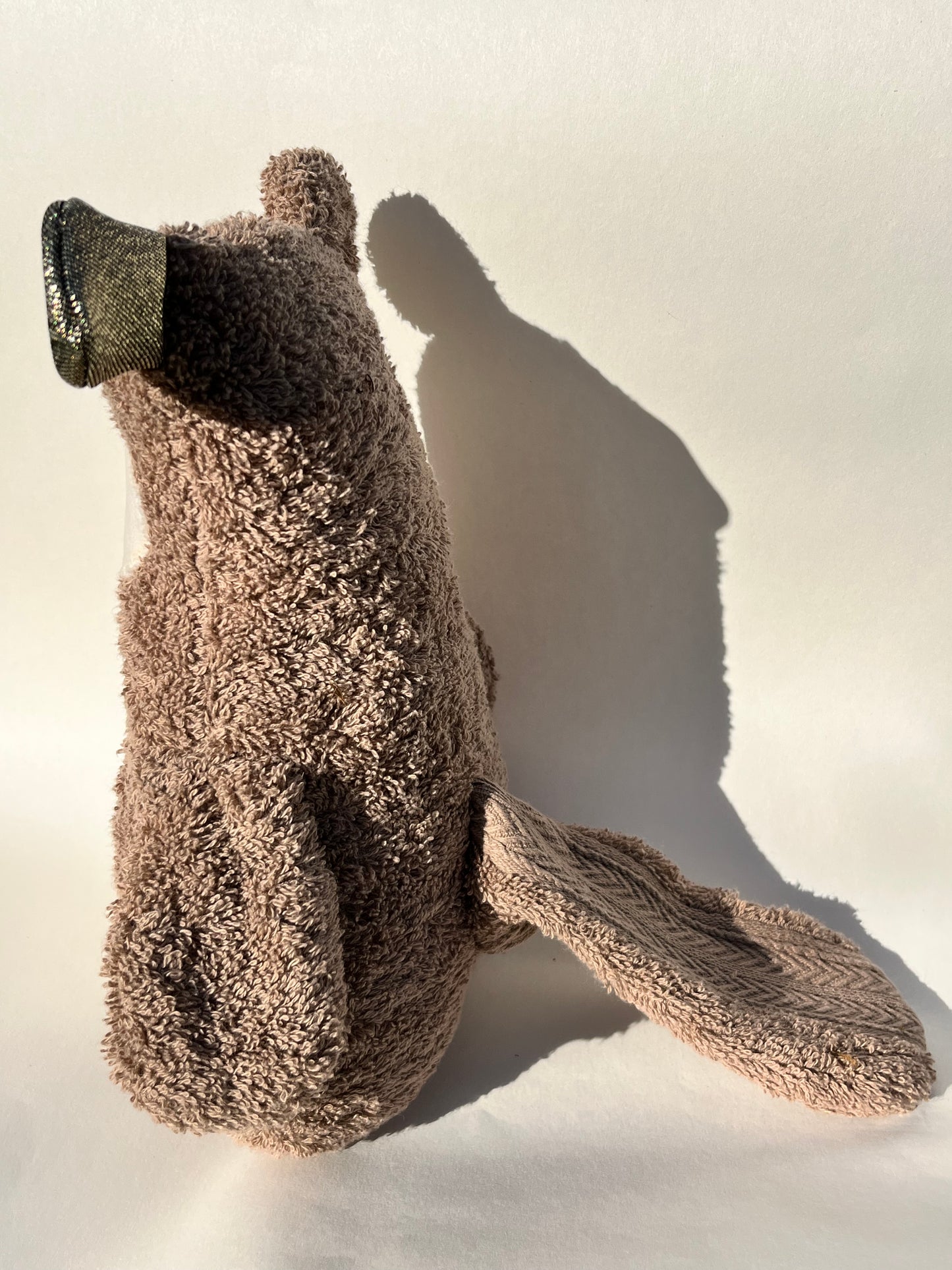 Bundle Ludwig Glücksohr book with cuddly beaver