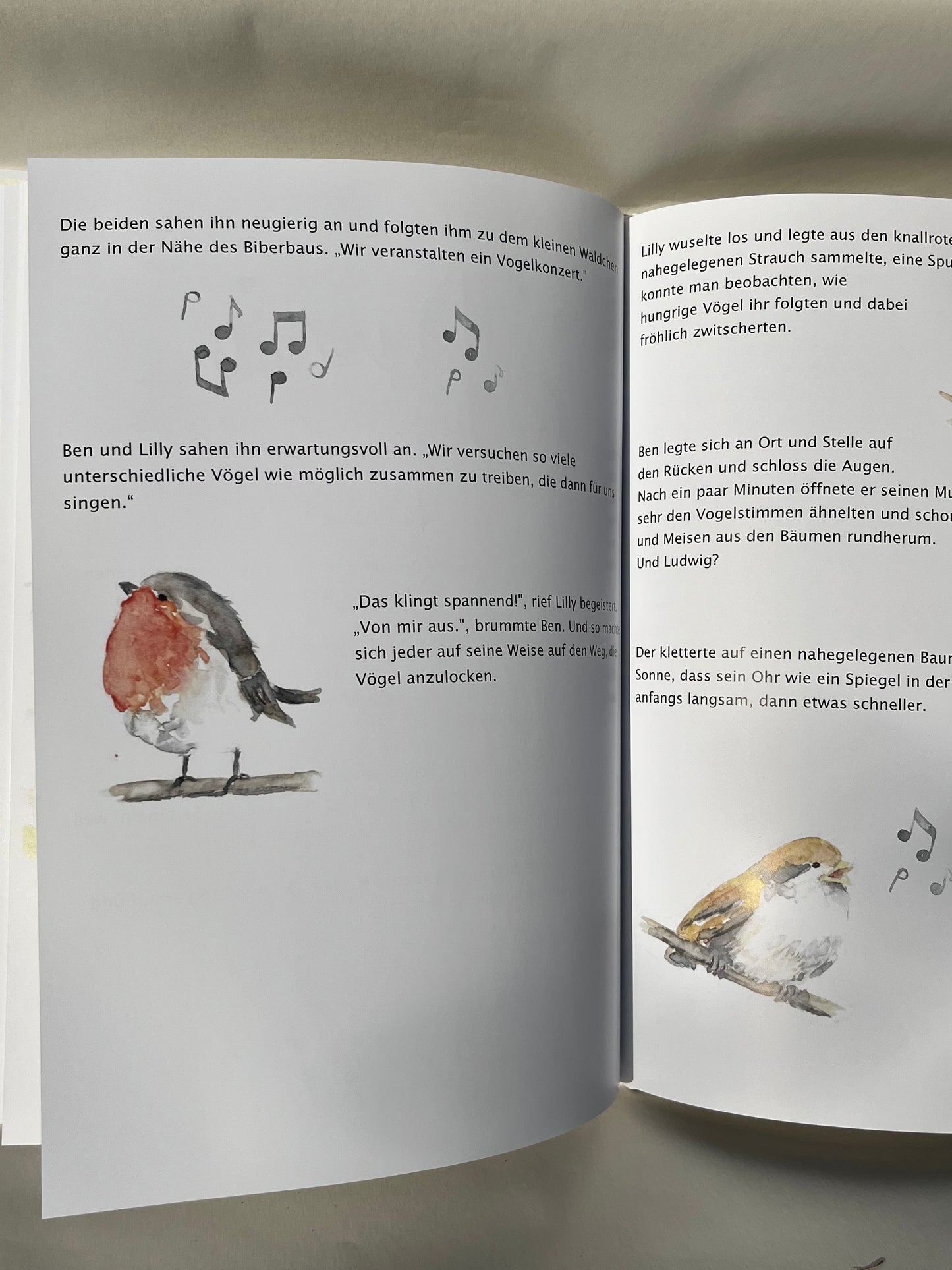 Kinderbuch Biber Ludwig mit dem Glücksohr Simone Zink