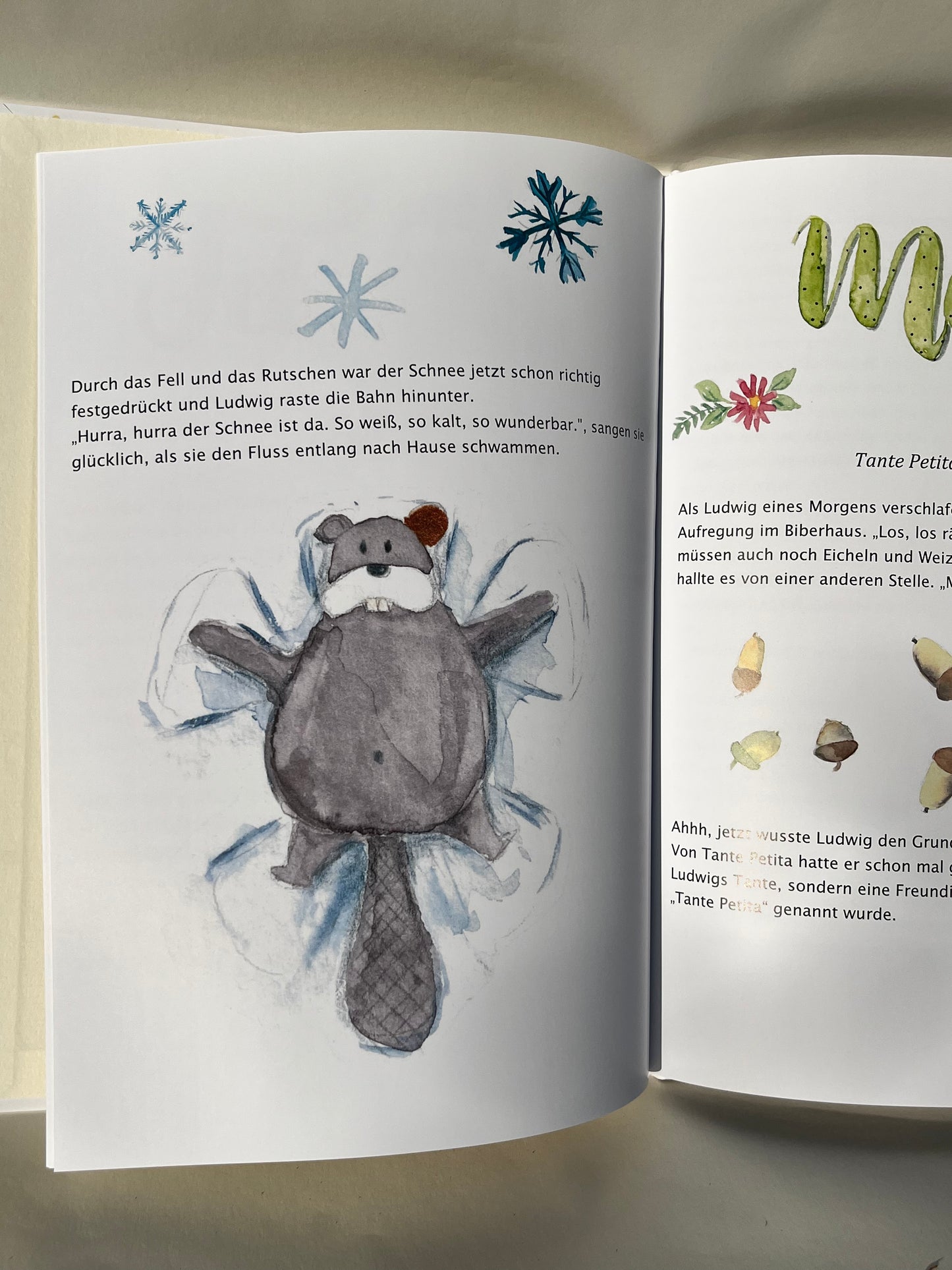 Bundle Ludwig Glücksohr book with cuddly beaver