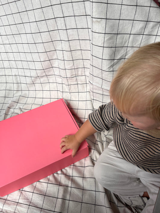 Cardboard box Flamingo 🦩