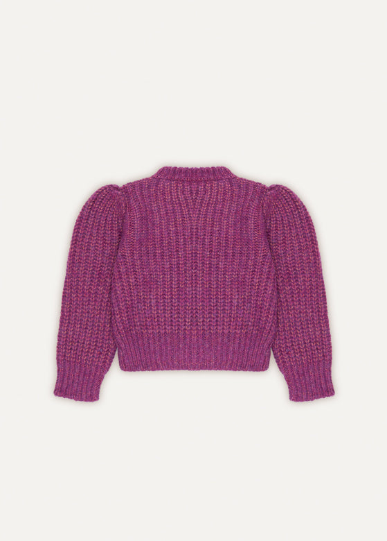 Ambrosia Jumper Purple The new society