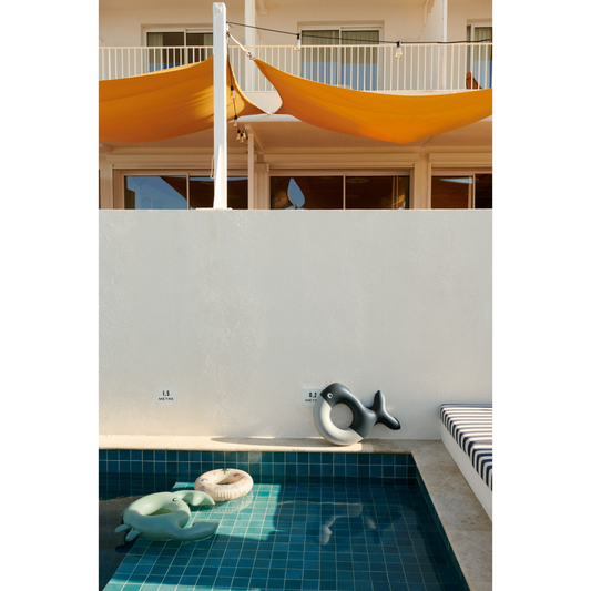 Phoebe Wal 🐳 Schwimmring