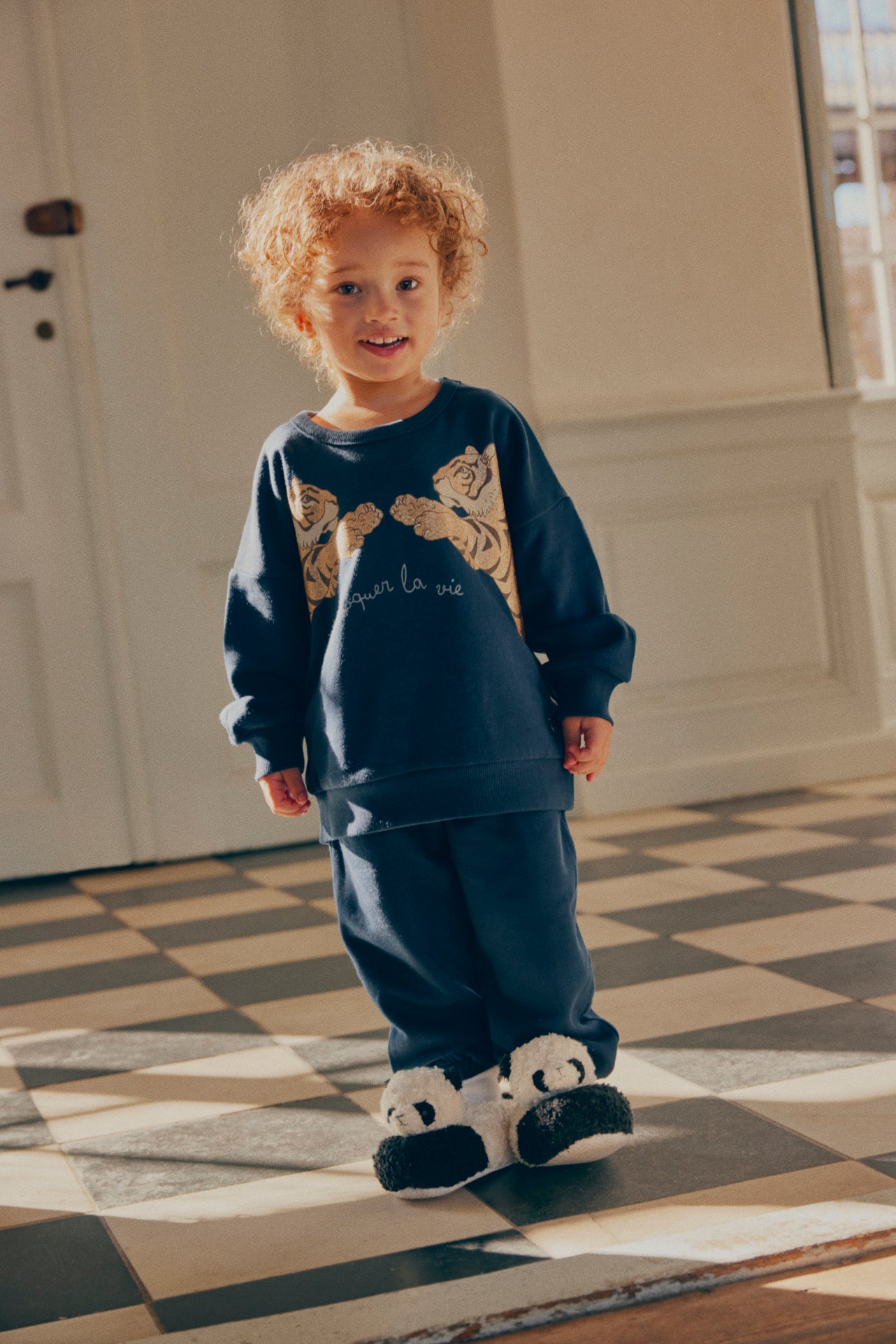 Sweater Tiger Lou Total Eclipse 3 Jahre
