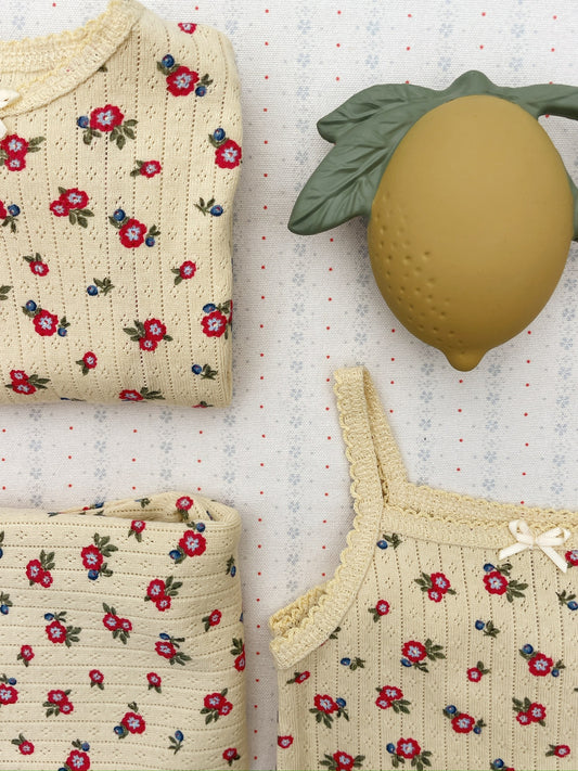 Lemon Teether Kautschuk Spielzeug 🍋