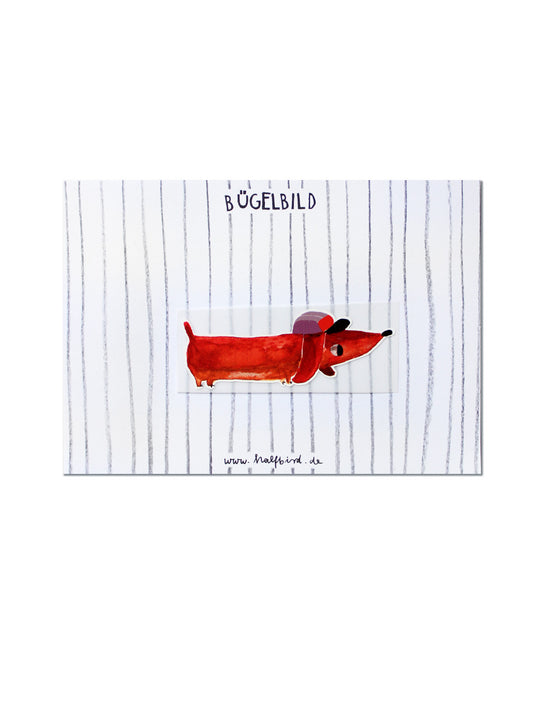 Ironing image dachshund Detlef