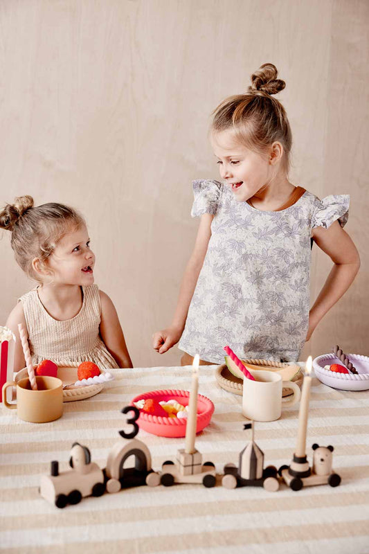 Otti Geburtstagszug Birke