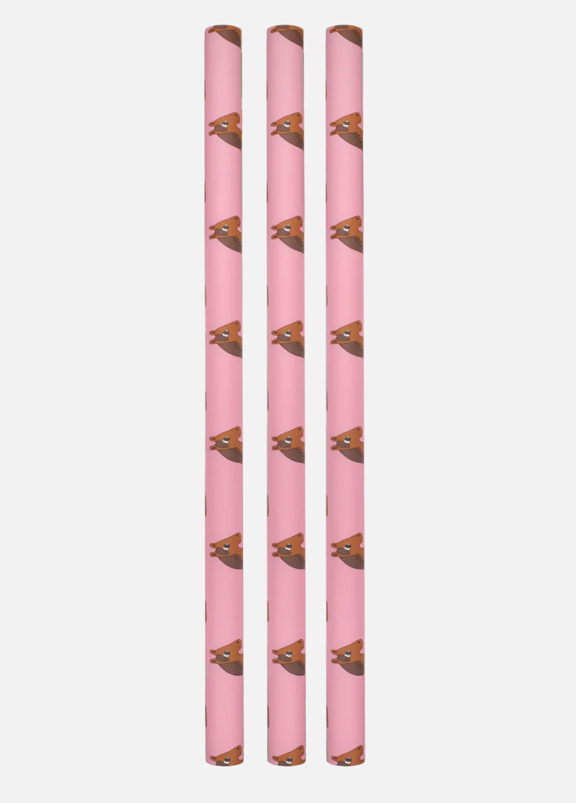 Wrapping paper Ole horses 🐴💕🍊Charlotte Janvier