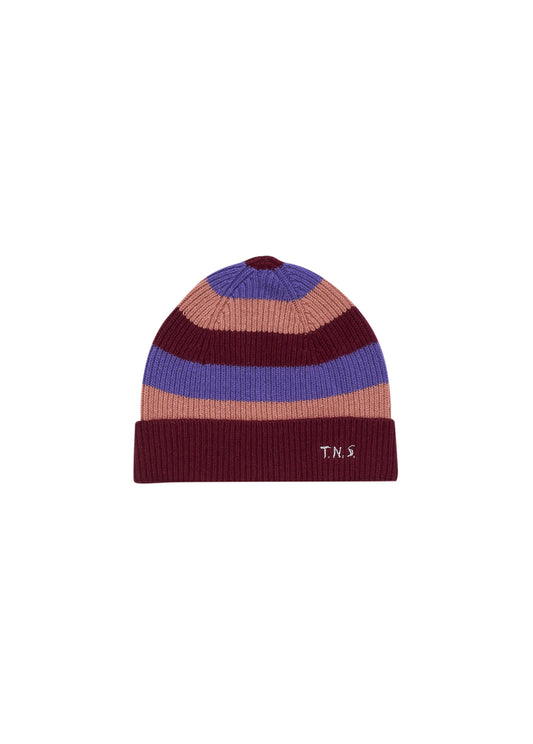 Cruz Beanie Blue Iris The new society